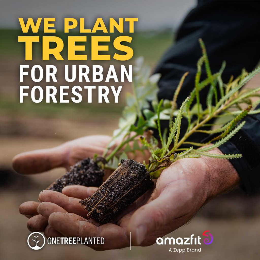 Zepp Health collabora con One Tree Planted per sostenere progetti di riforestazione in Europa